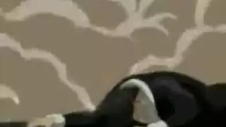 إباحية فرنسية كلاسيكية: أفلام جنسية تقليدية