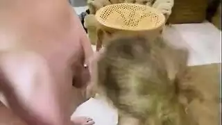 إباحية تمثيل أدوار: شخصيات خيالية تمارس الجنس بالملابس التنكرية