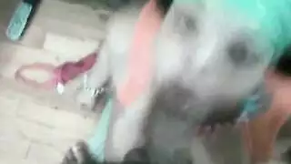 صرخات بدائية: سكس مثلي جامح بين البنات