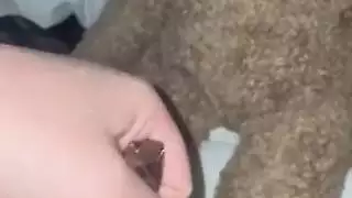 يطلب من خاته تلحس ايس كريم وفاجه بزبه