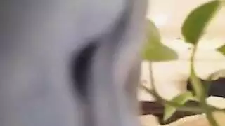 تحب ان يداعبها خبير المساج