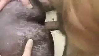 فتيات ريفيات ممتلئات يبلعن السائل المنوي