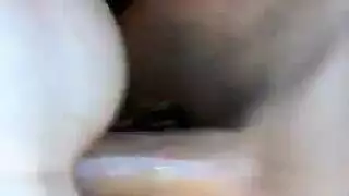 مجموعة أفلام إباحية: حركة غير متوقفة