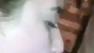 مشهد عراقي إباحي: لقاء سري مثير