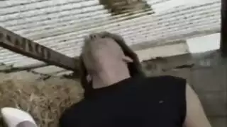 العصر الذهبي لأفلام الجنس الخام