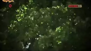 العرض الأول لسلسلة مورجان: مشهد مص القضيب والقذف داخلياً