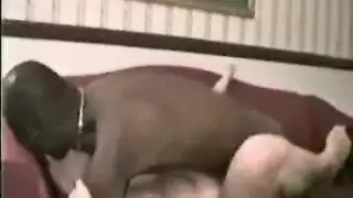 عاهرات آسيويات ينكحن في مهن ضيقة