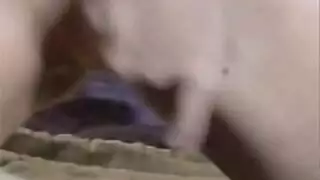 أفلام إباحية للعودة إلى المدرسة: ست مقاطع فيديو عالية الدقة لأفعال جنسية على المقاعد