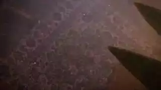 جلسة إباحية شديدة تنتهي بانفجار