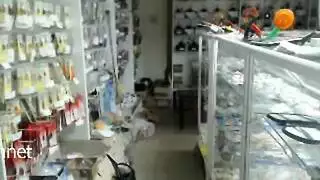 إباحية مثلية تنفيذية: بدلات وألعاب جنسية