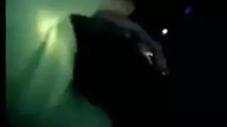 حركة وحشية مع فتيات تويتر الساخنات