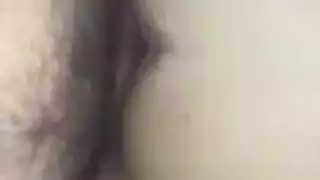 حلاوه الخلفي