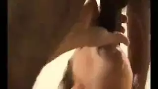 إباحية أوروبية: مثلية جنسية منحطة للعائلة