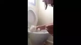 نيك اجمل ممثلات الإباحة في العالم