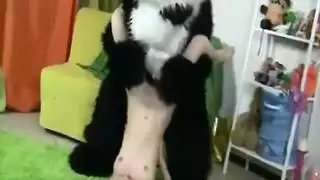 علاقة حيوانية جماعية: باندا تسيطر في فيلم جنس حيوانات صريح