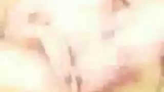 شامية كلام عربي