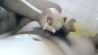 مقاطع عربية حارة: نيك خشن وصراخ في الجودة العالية