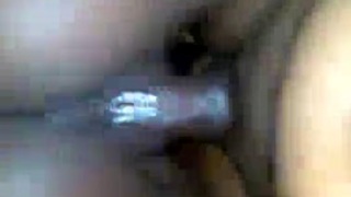 صوربنات سود عاريات ملط