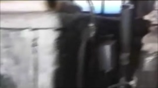 نيك الراهبه في عربيه الخضار