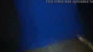 هيفاءوهبيسكس xnxx