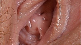 نظرة عن قرب إلى داخل أكساس مختلف والبظر البارز