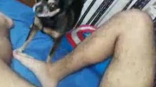 فاتنة عاهرة لولو كريل تفعل زوجة الأب