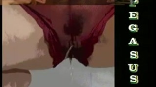شيل زرور
