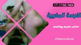 نيك مغربي خطير اجمل جسم فرسة تتمنى تنيكه