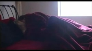 صور متحركه شبيه بالفيديو لسكس